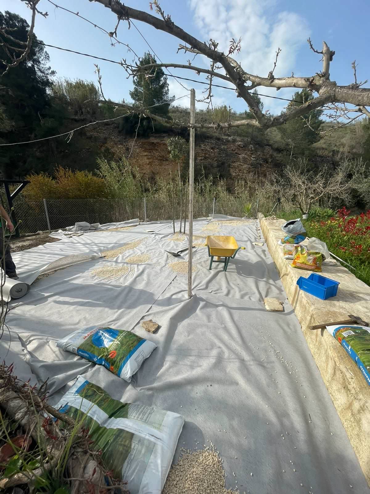 Remodelación de zona ajardinada pequeña