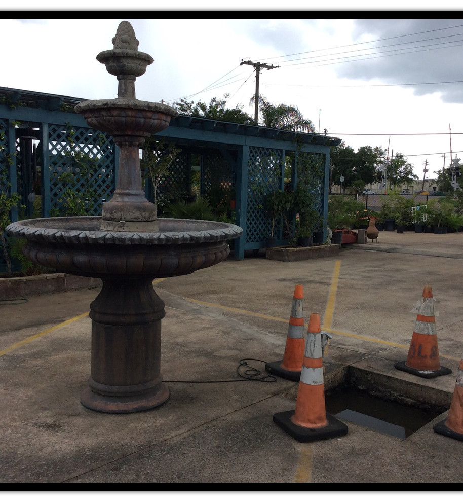 Texas Best Nursery Revitalization