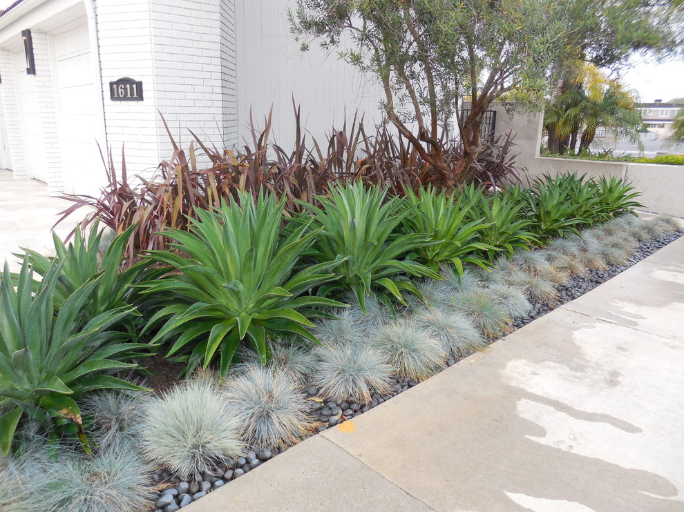 Photo of a small transitional front yard full sun xeriscape for summer in Orange County.