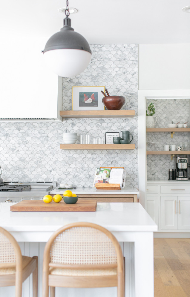 Kitchen - transitional kitchen idea in Chicago