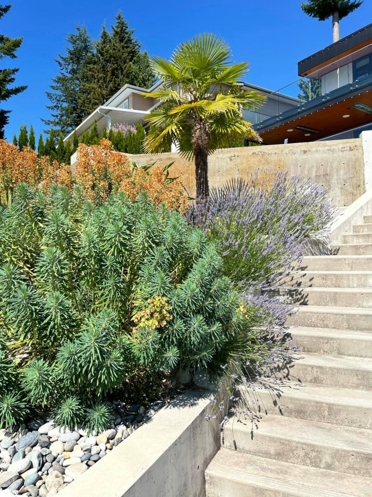This is an example of a mid-sized and desert look tropical sloped full sun garden for summer in Vancouver with natural stone pavers.