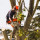 Top Climber Tree Service