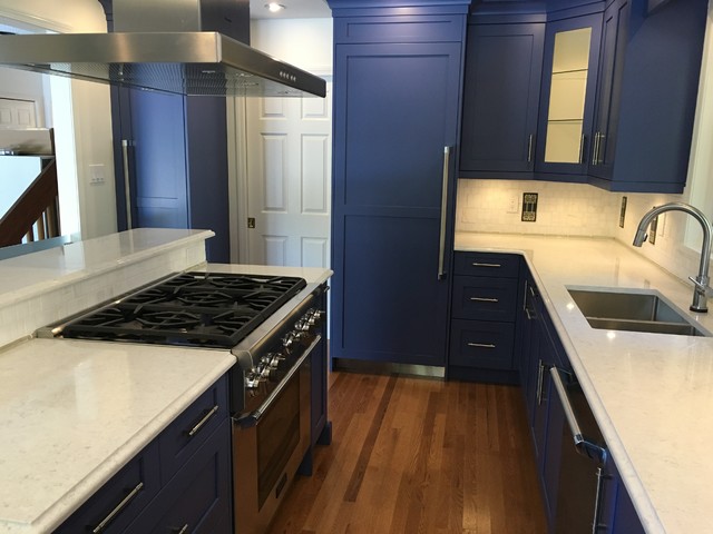 Custom Kitchen modern-kitchen