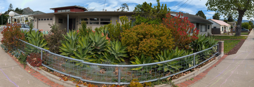 An Artist's Garden