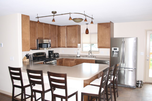 Kitchen Remodels contemporary-kitchen