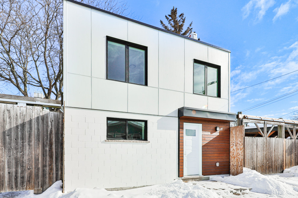 Diseño de fachada blanca y negra tradicional renovada pequeña de dos plantas con revestimiento de aglomerado de cemento, tejado plano, microcasa y techo verde