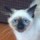 donna_fitzgerald3179