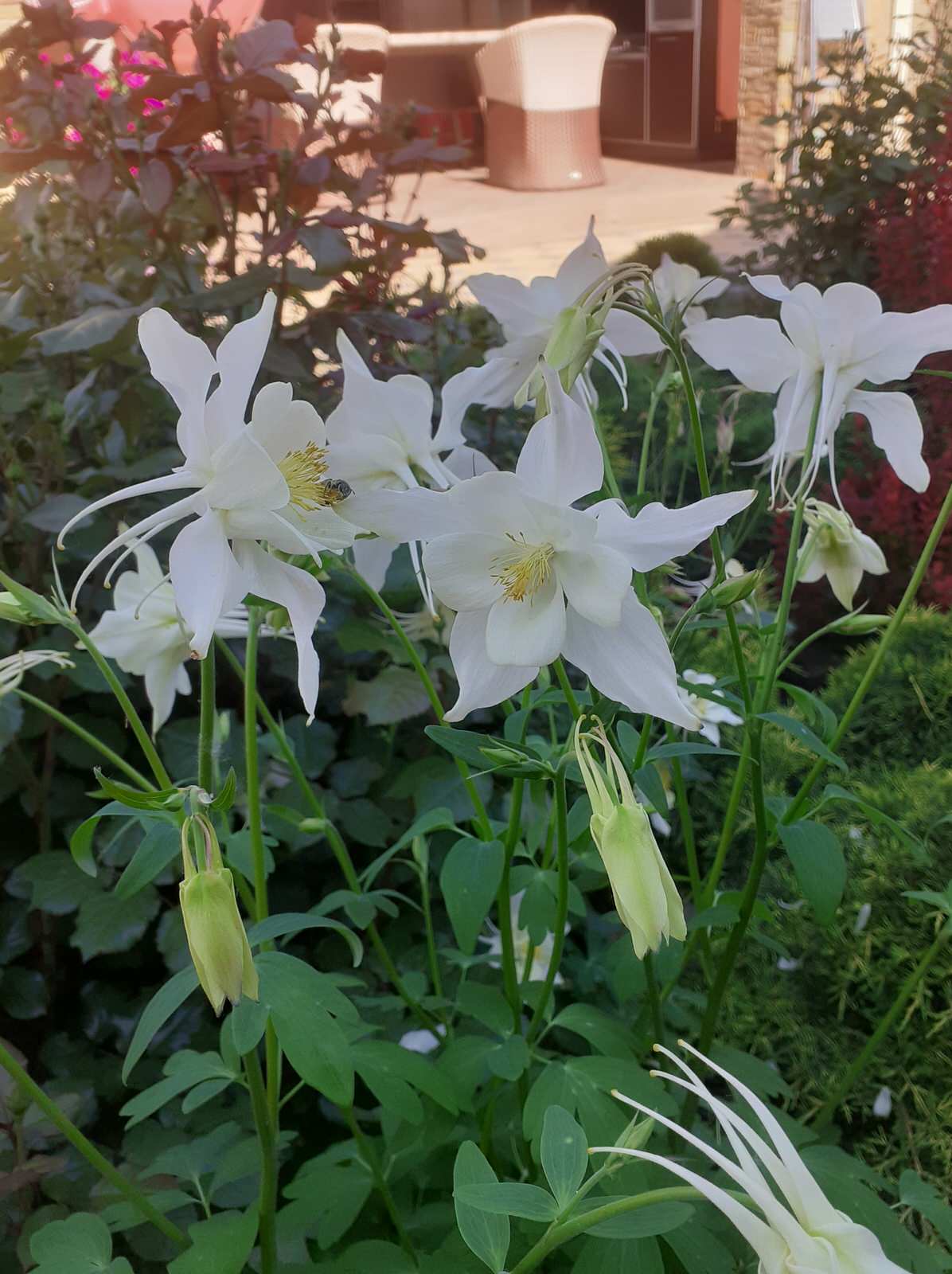 Цветочная мозаика