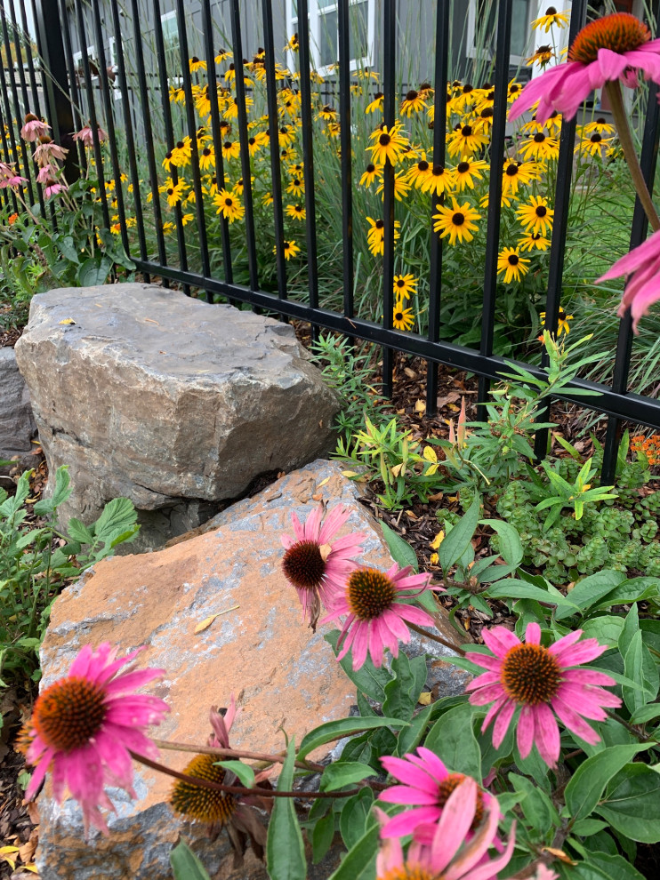 Minneapolis Functional Landscape