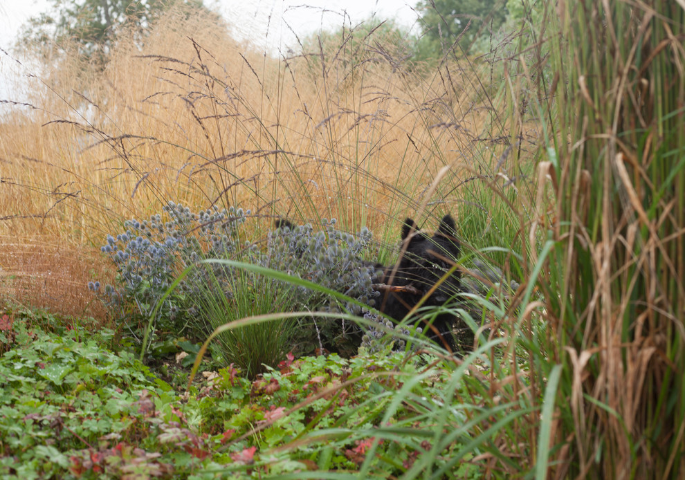 Обитель ветров, сад в Тверской области
