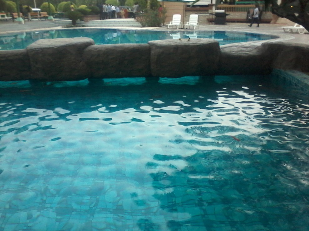 Example of a kidney-shaped infinity pool house design