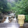 webuser_666503402