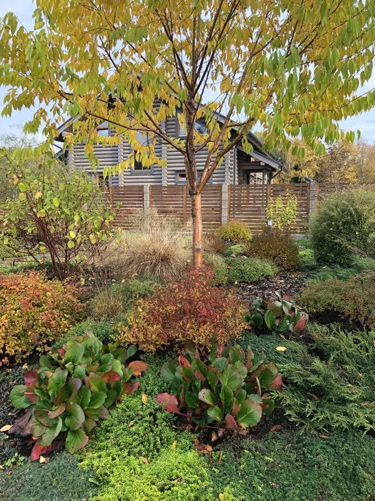 ЯГОДНОЕ ЛУКОШКО. ОСЕНЬ 2018