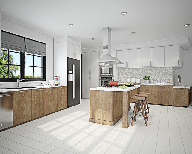 425-Transitional Kitchen transitional-rendering