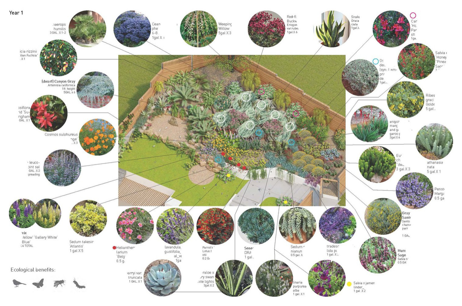 Planting Design