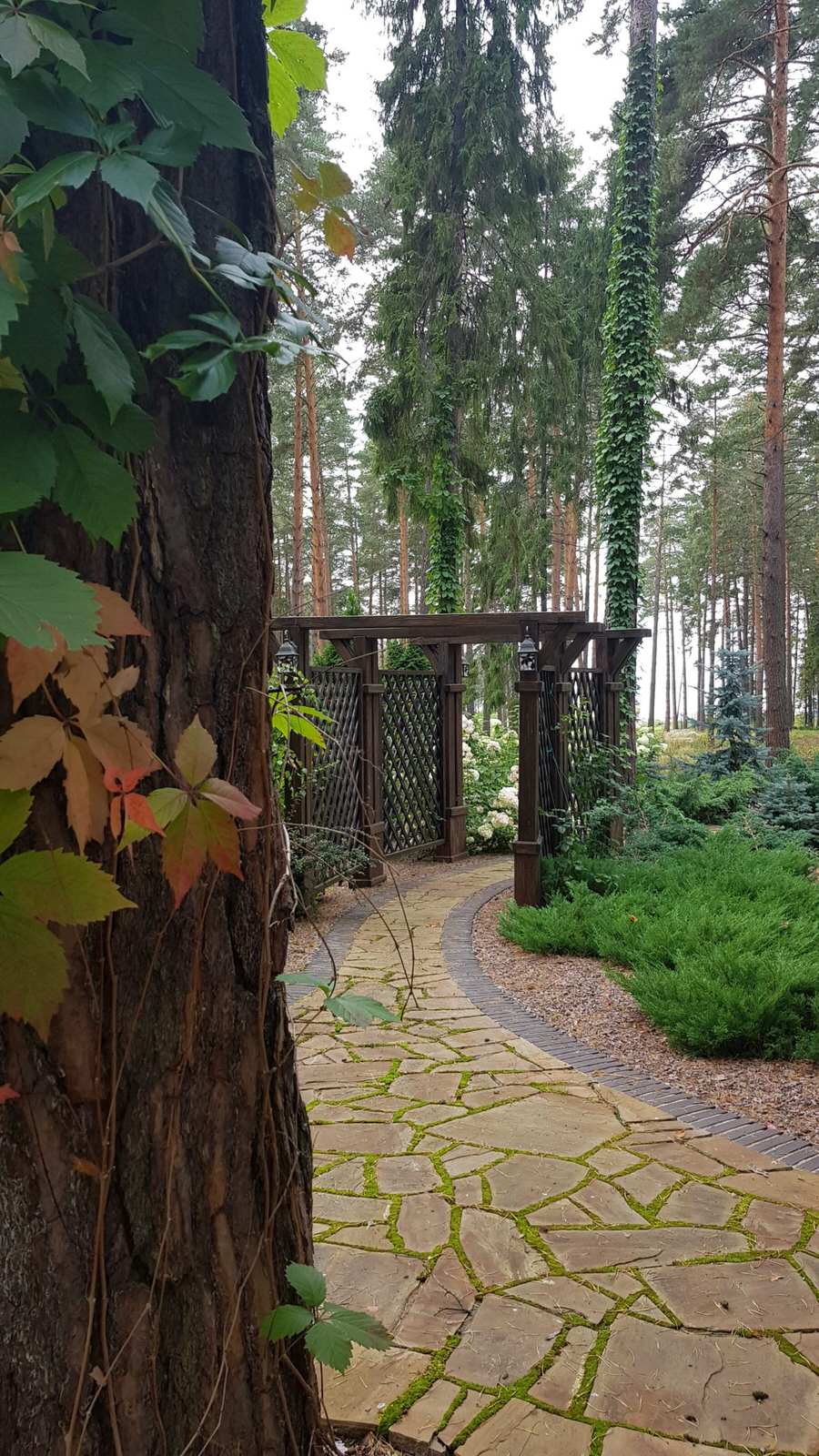 «Пряничный домик» в сосновом бору