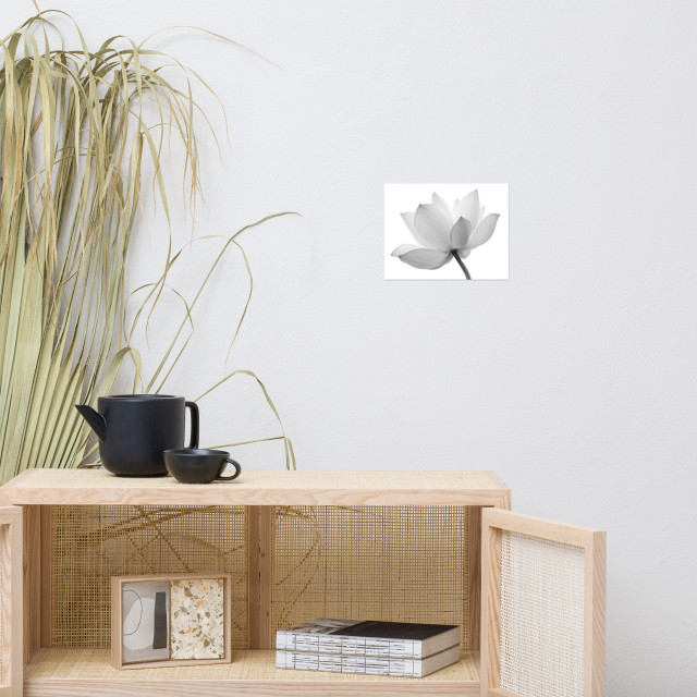 Dramatic Floral Wall Art Lotus Flower Black and White Floral Nature ...