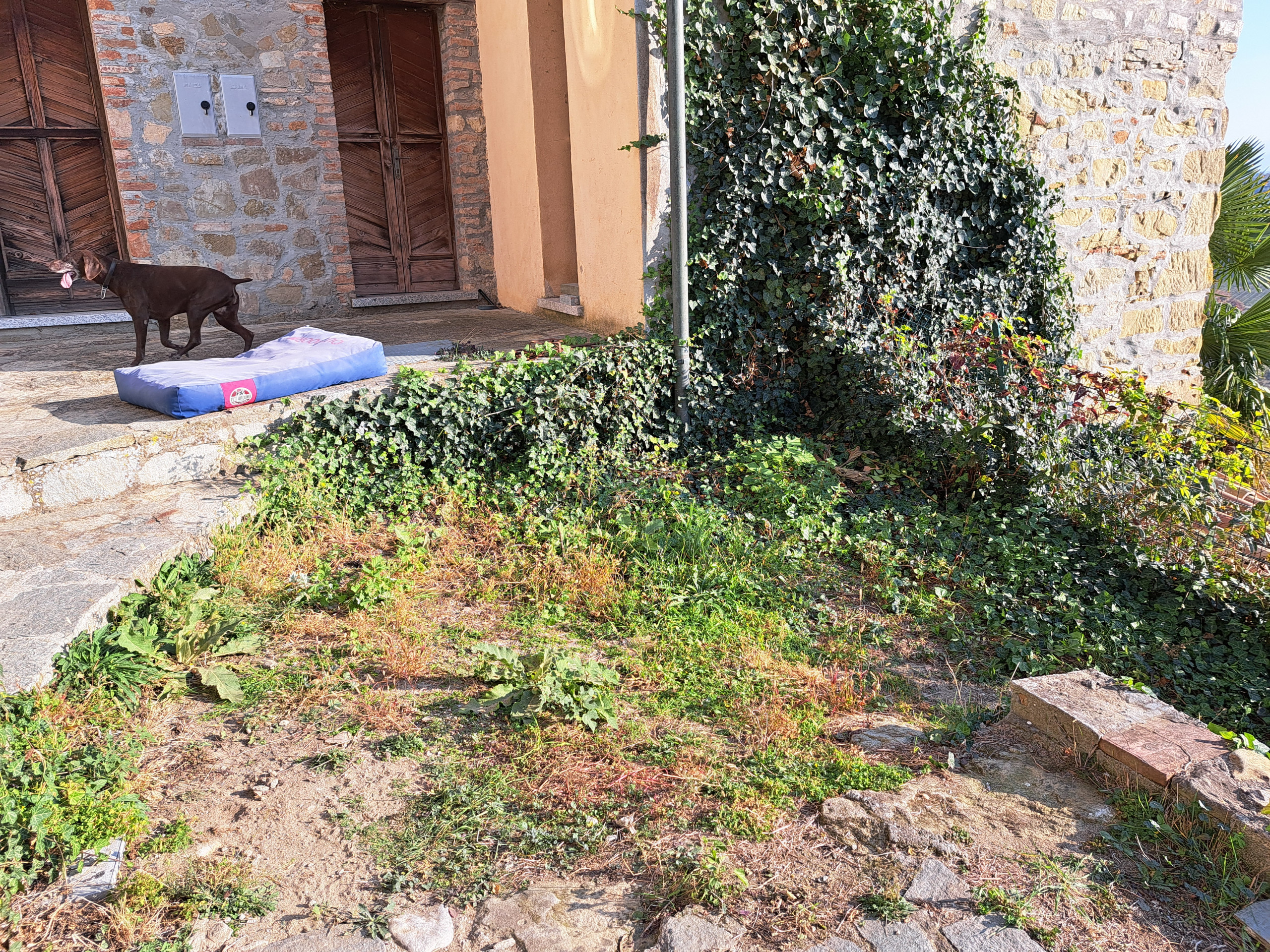 Un giardino sulle colline pavesi