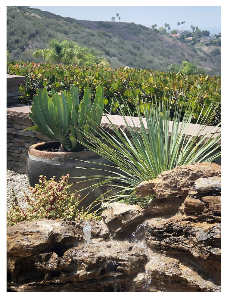 This is an example of a small back xeriscape full sun garden in Orange County.