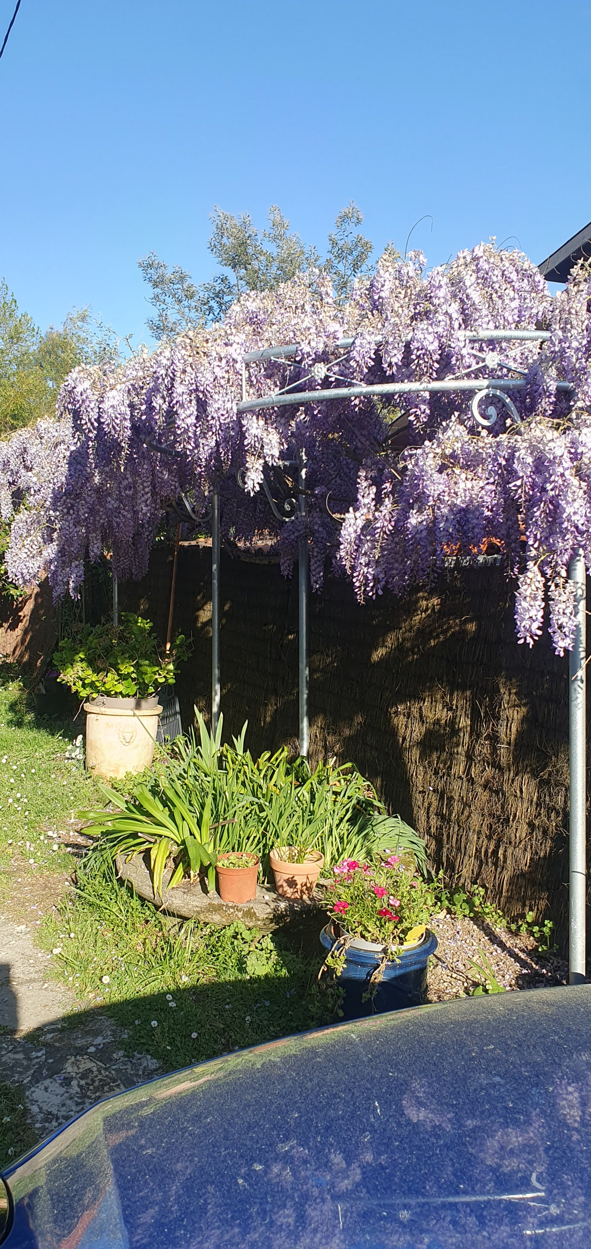 Aménagement & décoration de jardin