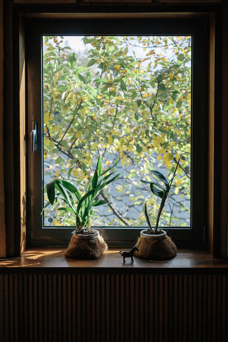 Дом в Речнике