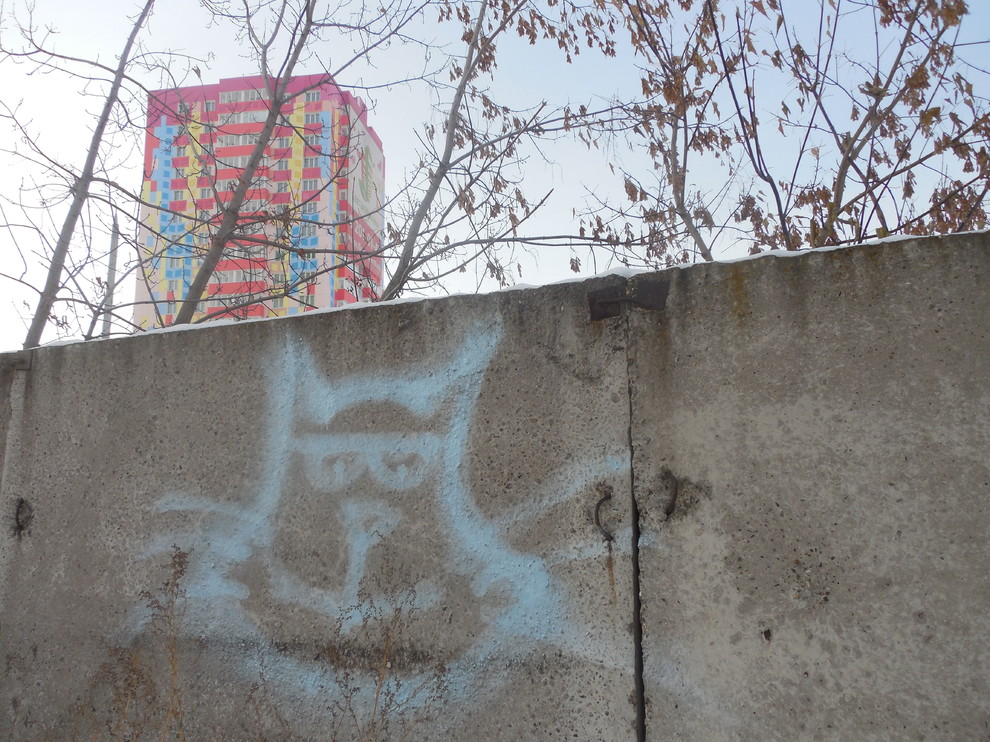 Цветы Прикамья