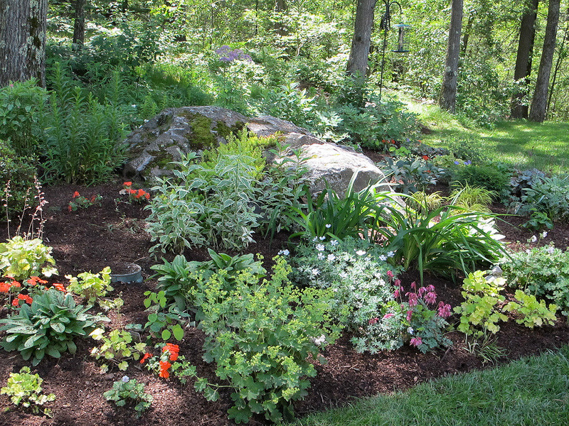 Mid-sized traditional backyard partial sun garden in Boston for spring.
