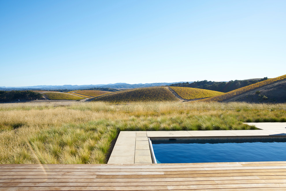 This is an example of a contemporary backyard rectangular pool in San Luis Obispo.