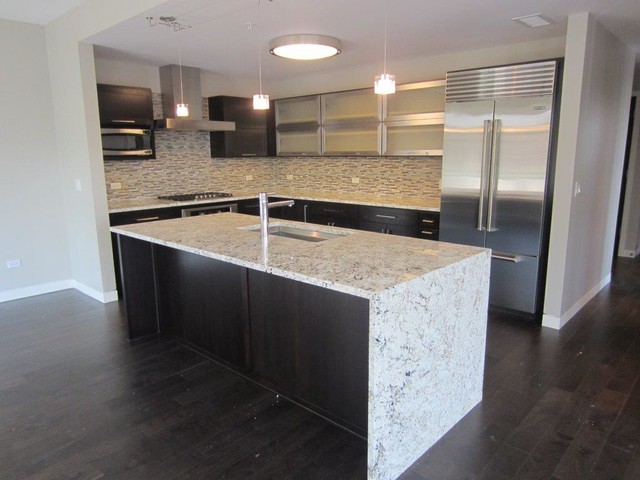 Hinsdale Condominium Interior Build, Hinsdale, IL contemporary-kitchen