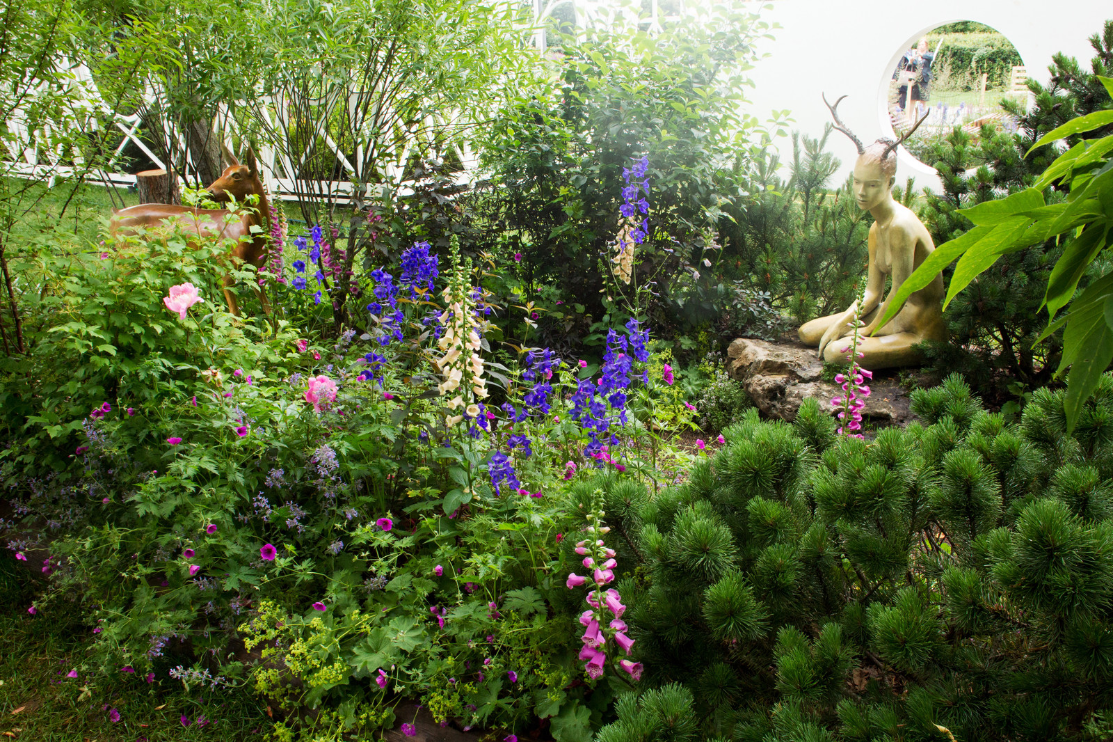 Фотосъёмка сада   Mark  Eveleigh(+Gigi Cameron) на   MoscowFlowerShow2017