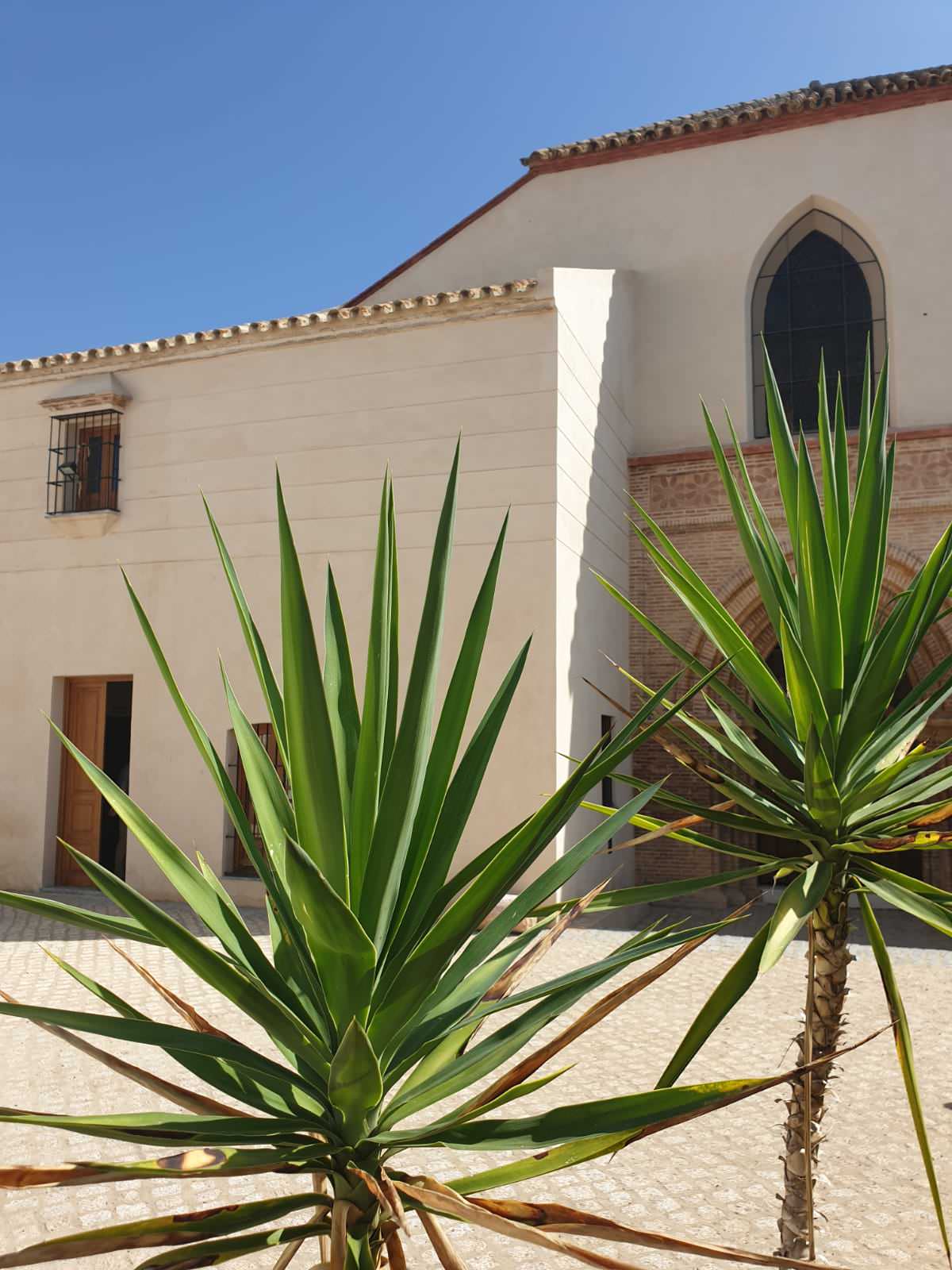 REHABILITACIÓN Y RESTAURACIÓN STA MARÍA DE LA ASUNCIÓN