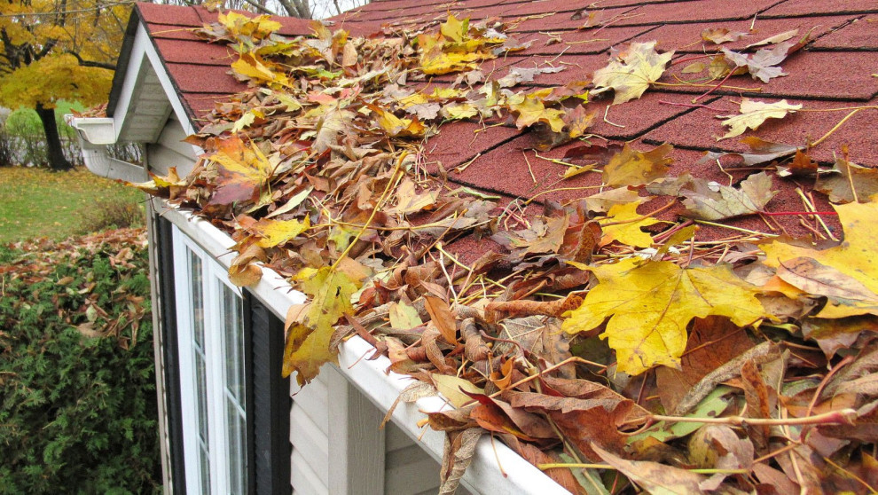 Fall leaves on roof