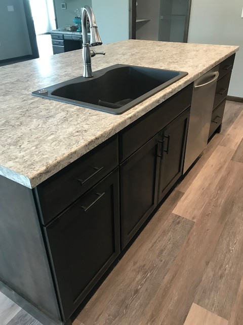 Functional Family Home (Kitchen, Bath, & Laundry) transitional-kitchen