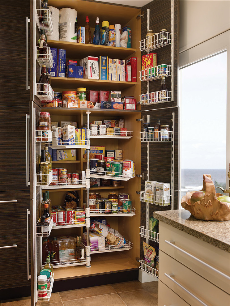 Inspiration for a contemporary kitchen pantry in Other with flat-panel cabinets and dark wood cabinets.