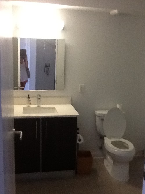 Help with bathroom  paint decor  colors 