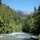 gayle_allen