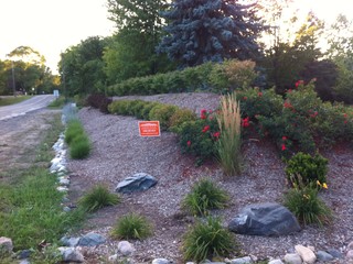 Berm Landscaping