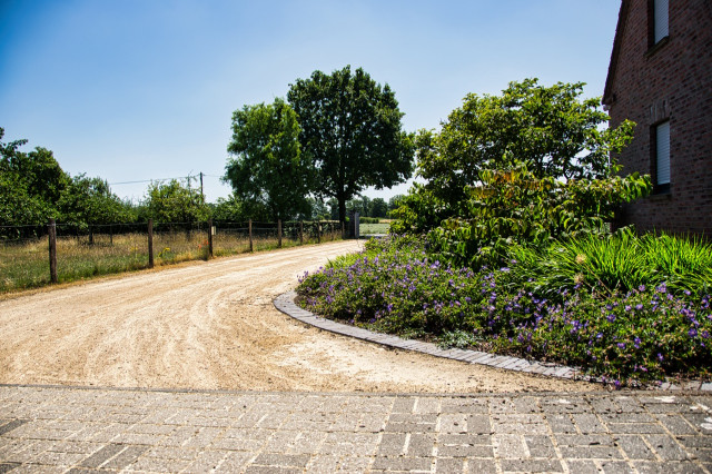 Daniel garden