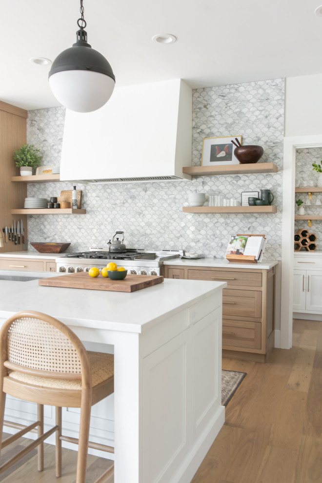 Transitional home design photo in Chicago