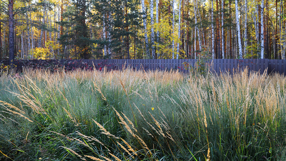 Сад у тёмных бревен