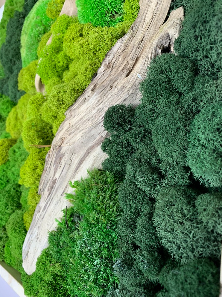 Панно из стабилизированного мха Ягеля и кочек