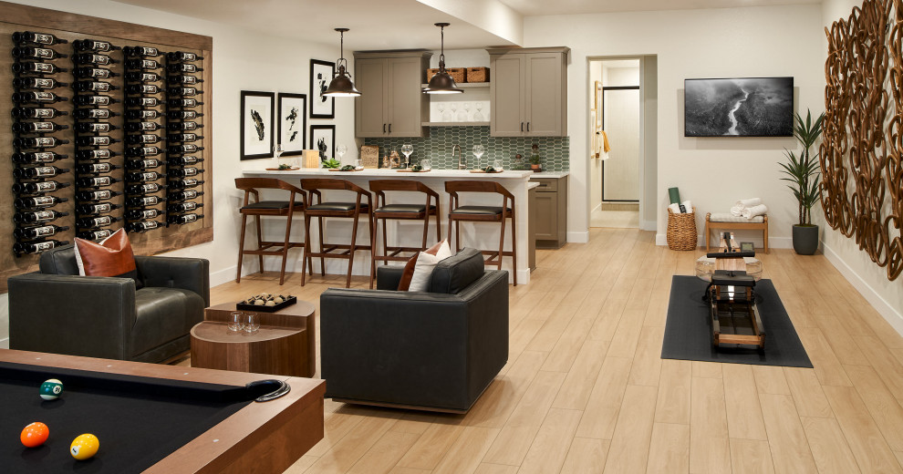Transitional basement photo in Denver