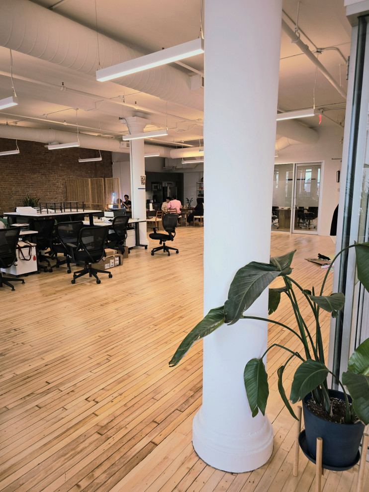 Soho tech office