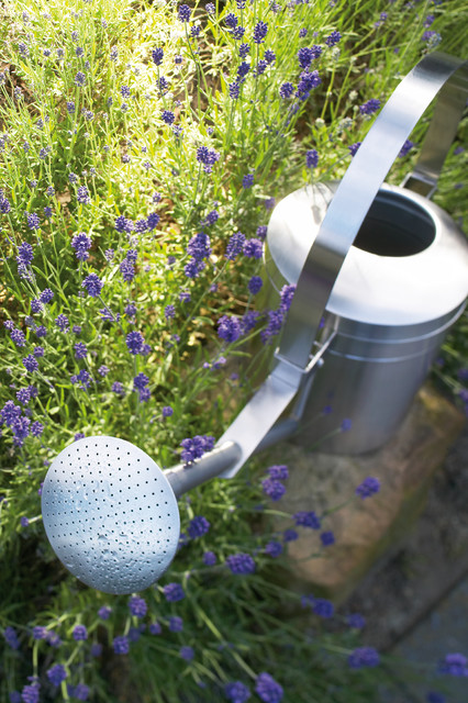 Aguo Watering Can, 169 Oz