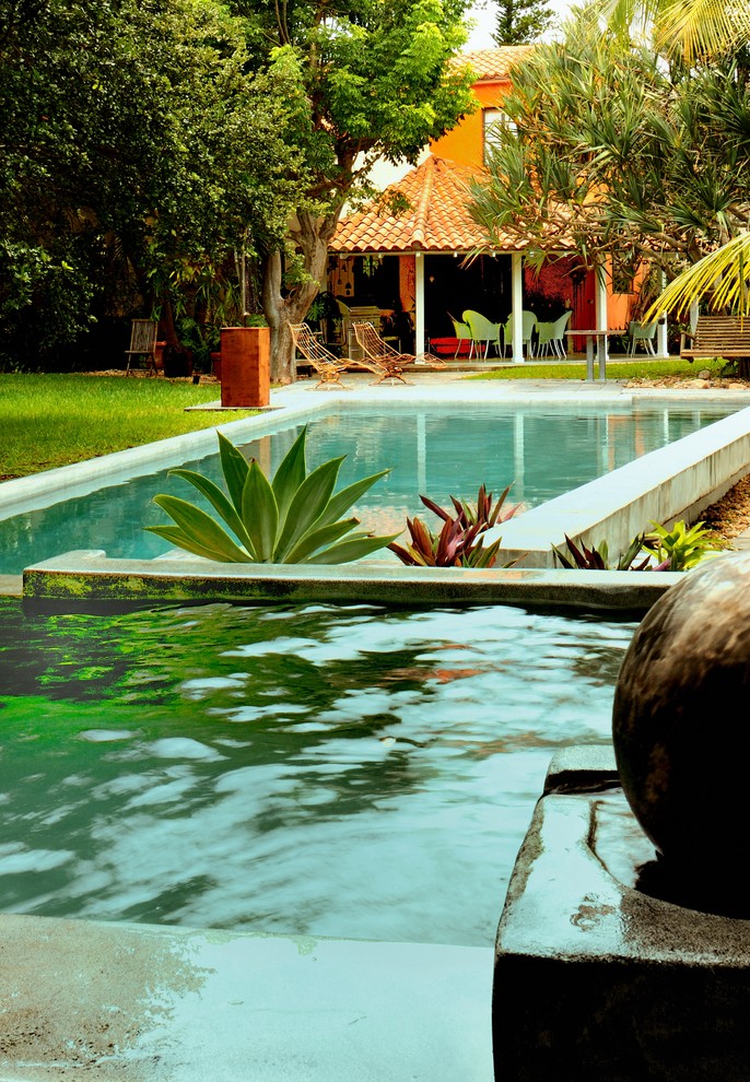 Design ideas for a mediterranean rectangular pool in Miami.