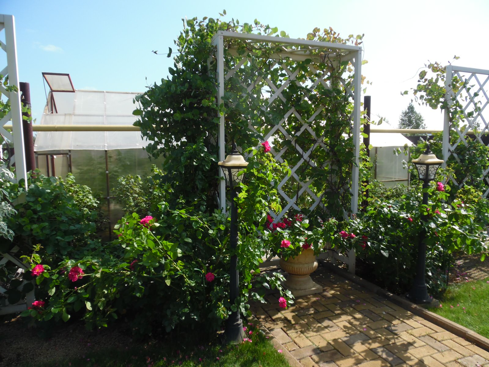 Современная классика. Цветущий сад.