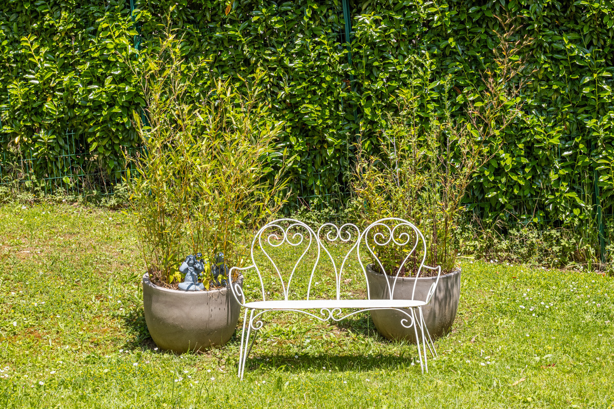 Création d'un grand jardin avec piscine