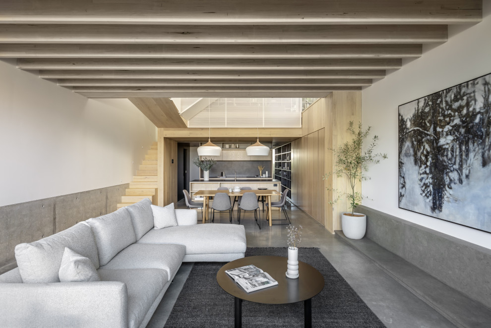 Ispirazione per un soggiorno minimalista con pareti bianche, pavimento in cemento e pavimento grigio