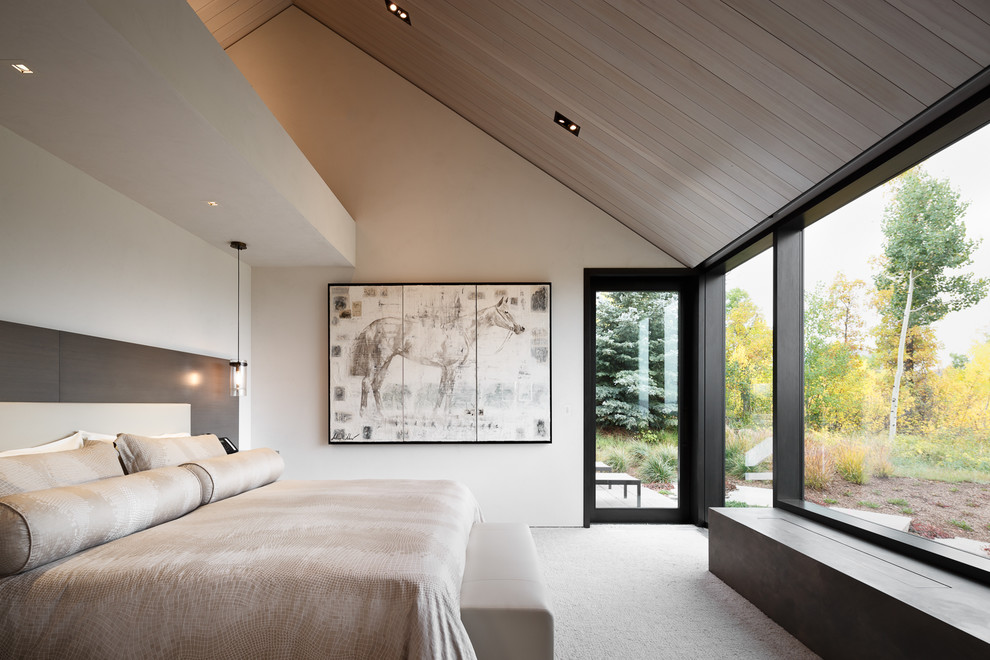 Photo of a mid-sized contemporary master bedroom in Denver with white walls, carpet, no fireplace and beige floor.