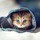 katherine_smith43